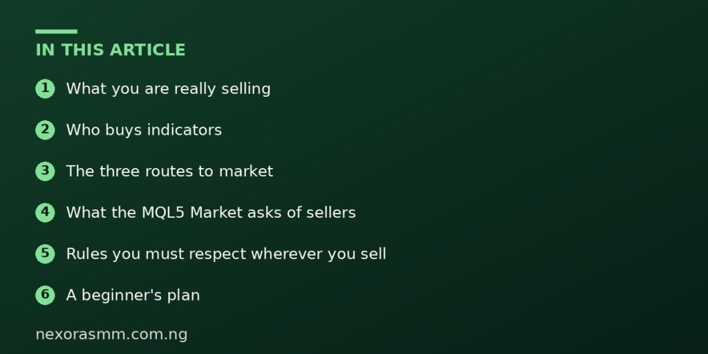 Summary graphic listing the main sections of: How to Sell MT5 Indicators Online: A Beginner's Business Guide