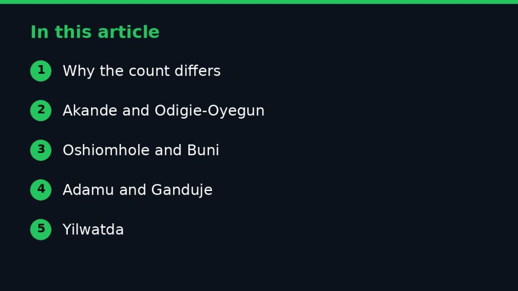 Summary graphic listing the main sections of: Former APC National Chairmen and Their Contributions