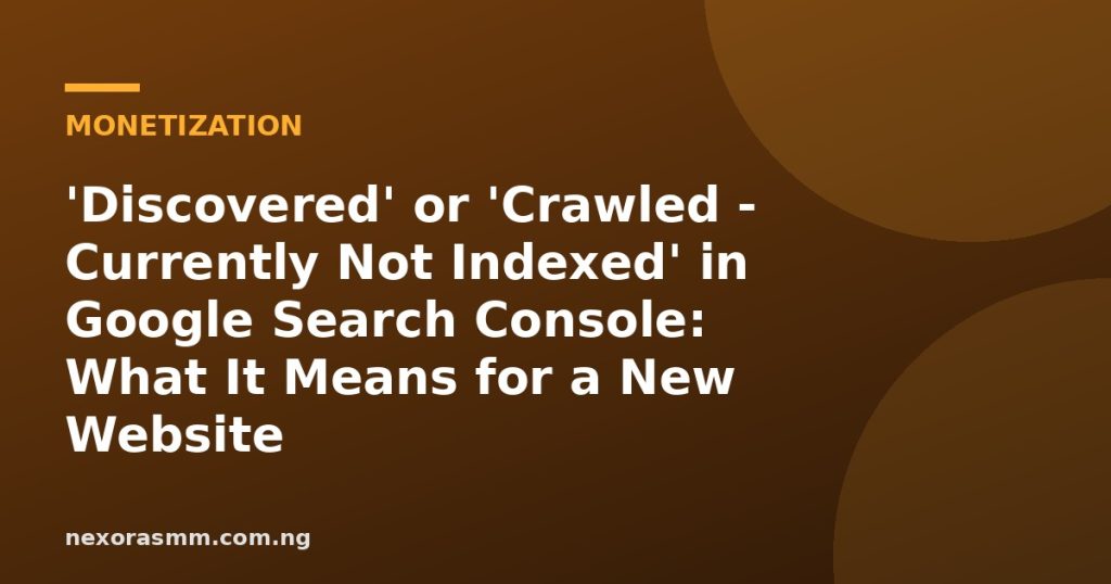 Cover graphic for the article: 'Discovered' or 'Crawled - Currently Not Indexed' in Google Search Console: What It Means for a New Website