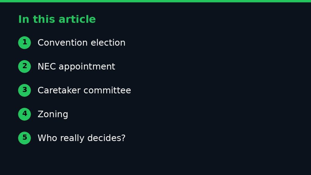 Summary graphic listing the main sections of: How APC Selects Its National Chairman