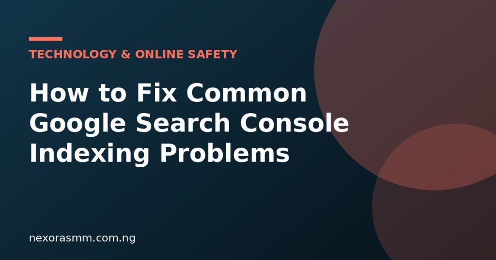 Cover graphic for the article: How to Fix Common Google Search Console Indexing Problems