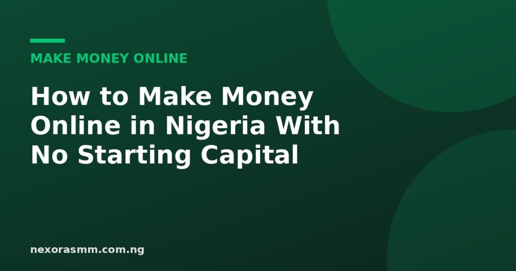 Cover graphic for the article: How to Make Money Online in Nigeria With No Starting Capital