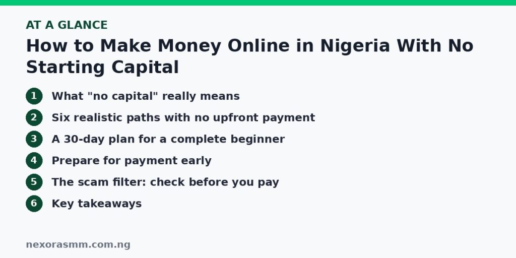 Summary graphic listing the main sections of: How to Make Money Online in Nigeria With No Starting Capital