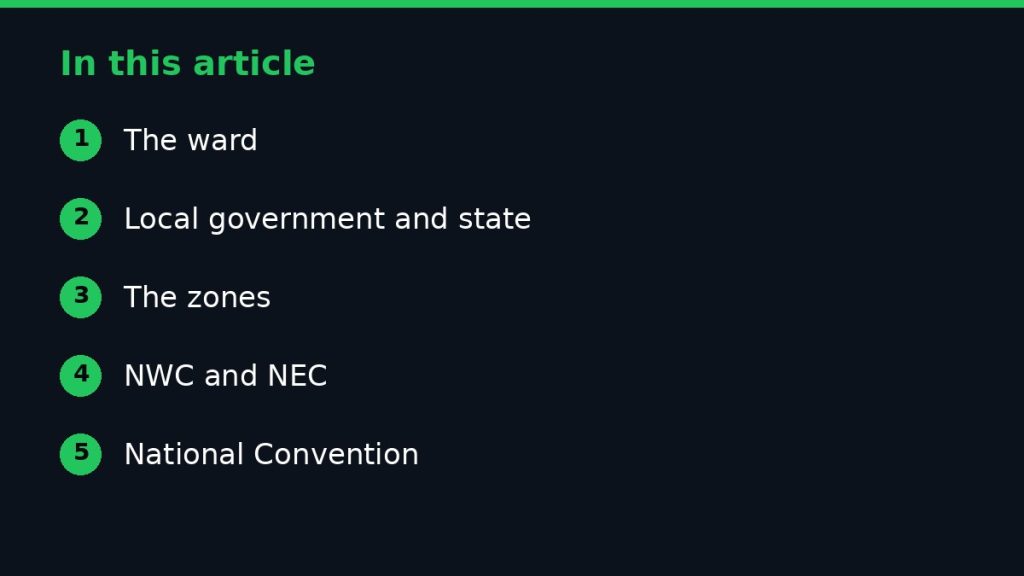 Summary graphic listing the main sections of: The Structure of APC: From Ward to National Leadership