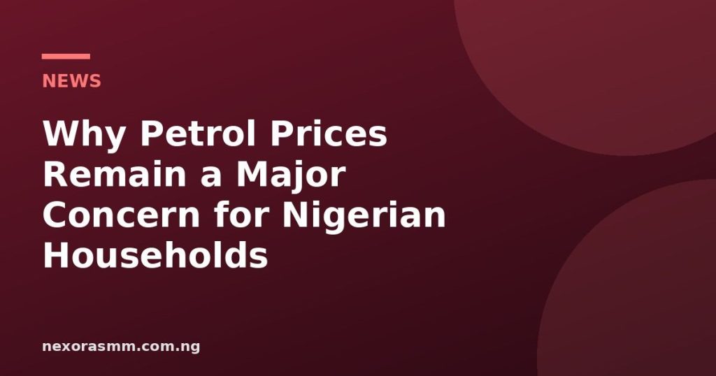 Cover graphic for the article: Why Petrol Prices Remain a Major Concern for Nigerian Households