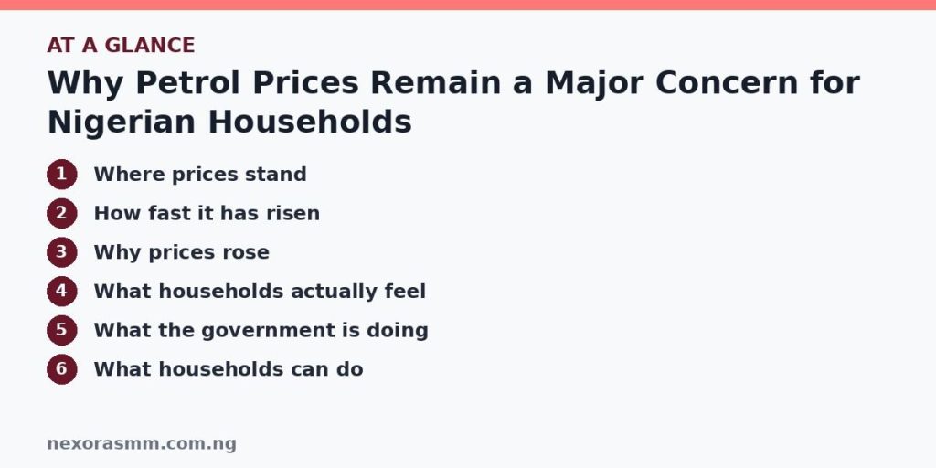 Summary graphic listing the main sections of: Why Petrol Prices Remain a Major Concern for Nigerian Households